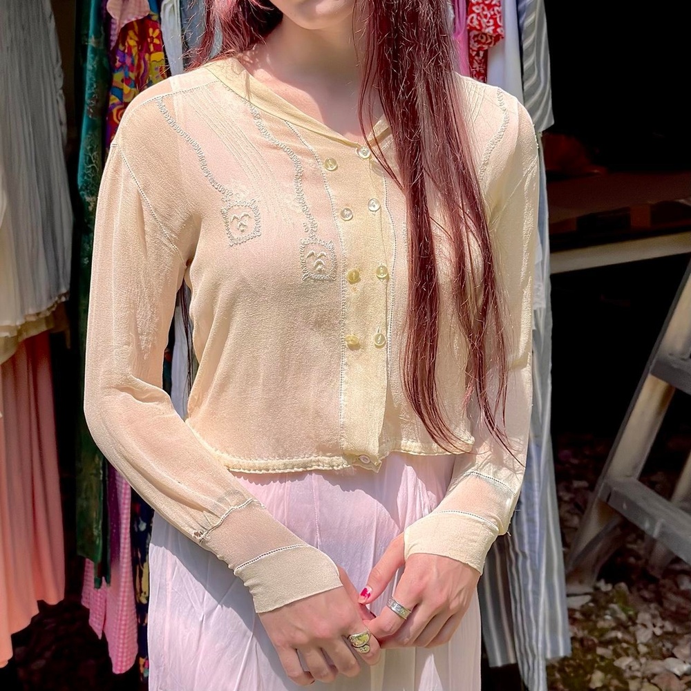 Rare antique 1920s sheer silk chiffon lounge cardigan hand embroidered